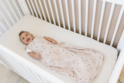 4 Season® Ultimate Baby Sleep Bag, Merino Wool & Organic Cotton, 2 Months - 2 Years, Teddy Bear