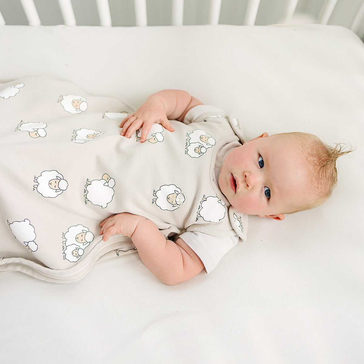 4 Season® Ultimate Baby Sleep Bag, Merino Wool & Organic Cotton, 2 Months - 2 Years, Sheep